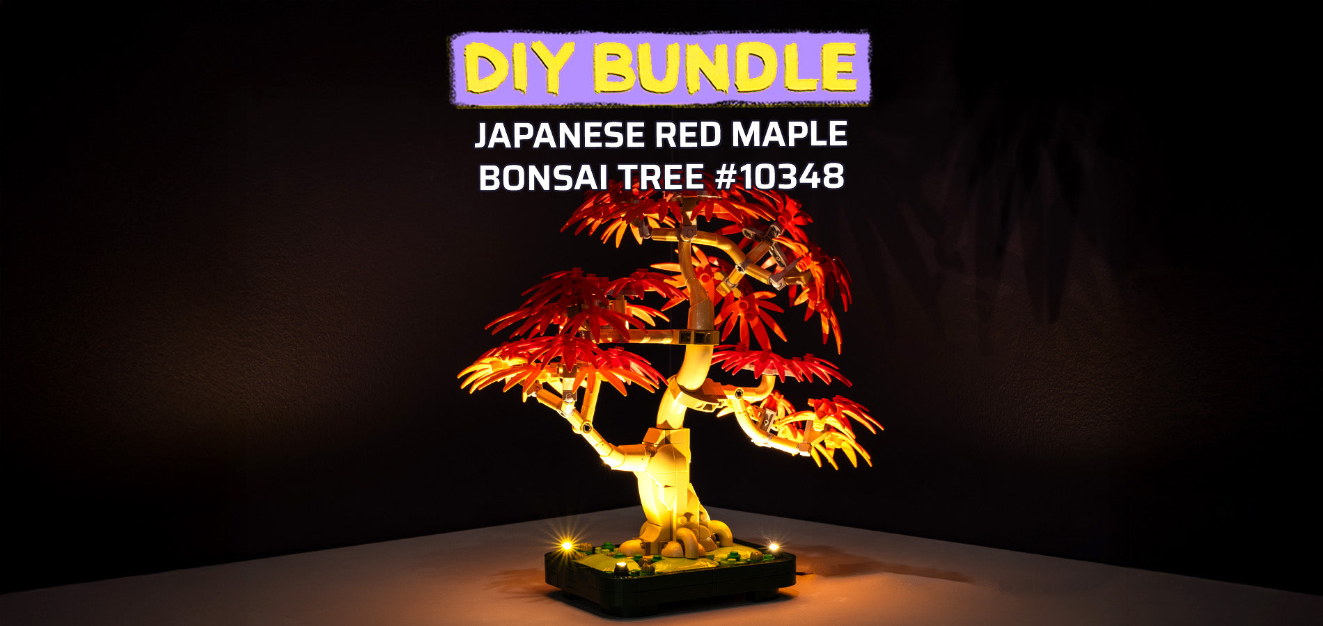 Japanese_Maple_Bonsai_website_
