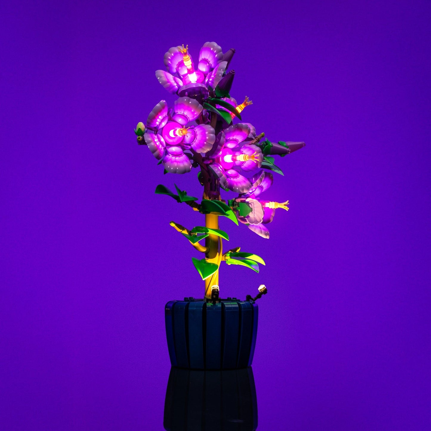 Light Kit for LEGO® Botanicals Hibiscus #10372