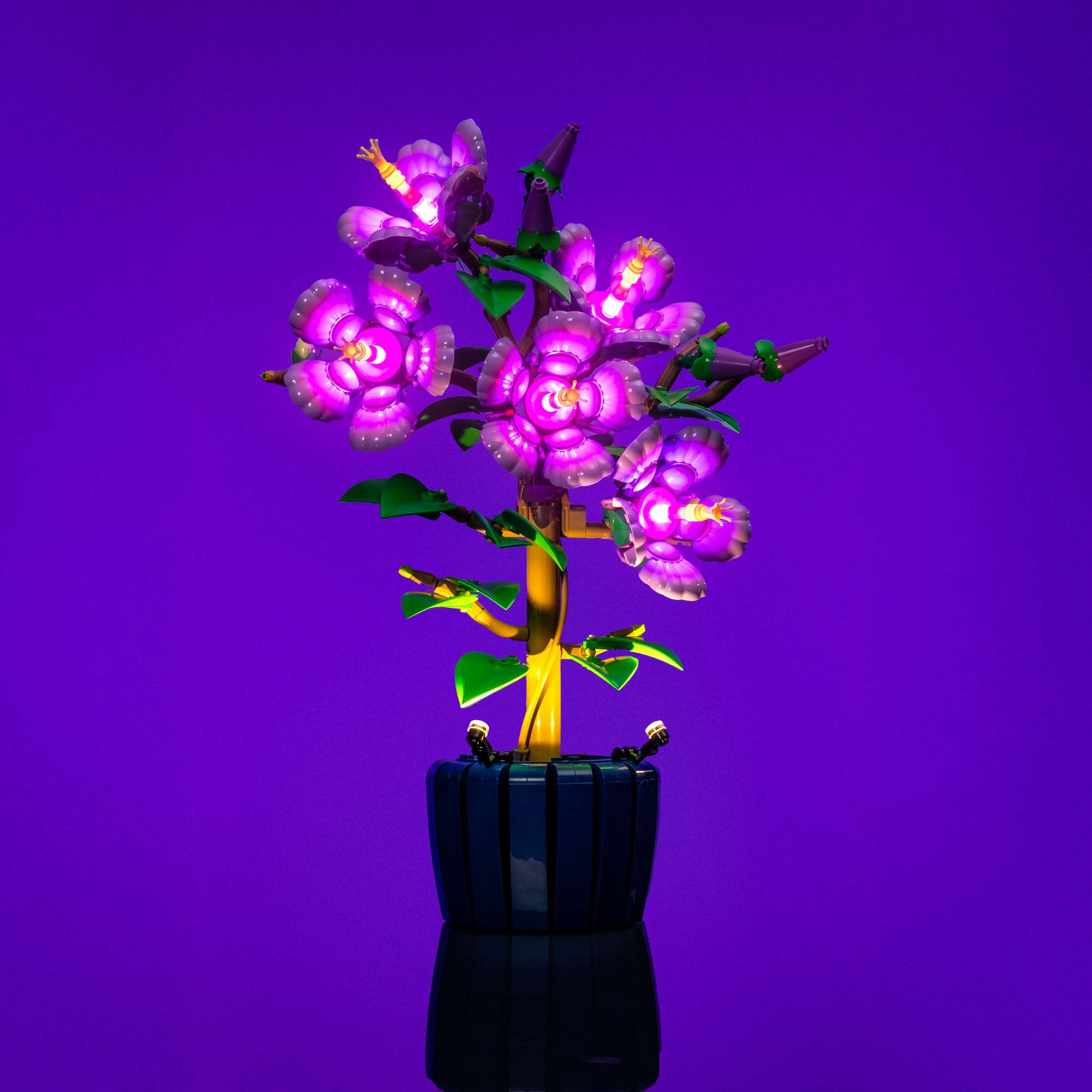 Light Kit for LEGO® Botanicals Hibiscus #10372 – Light My Bricks USA