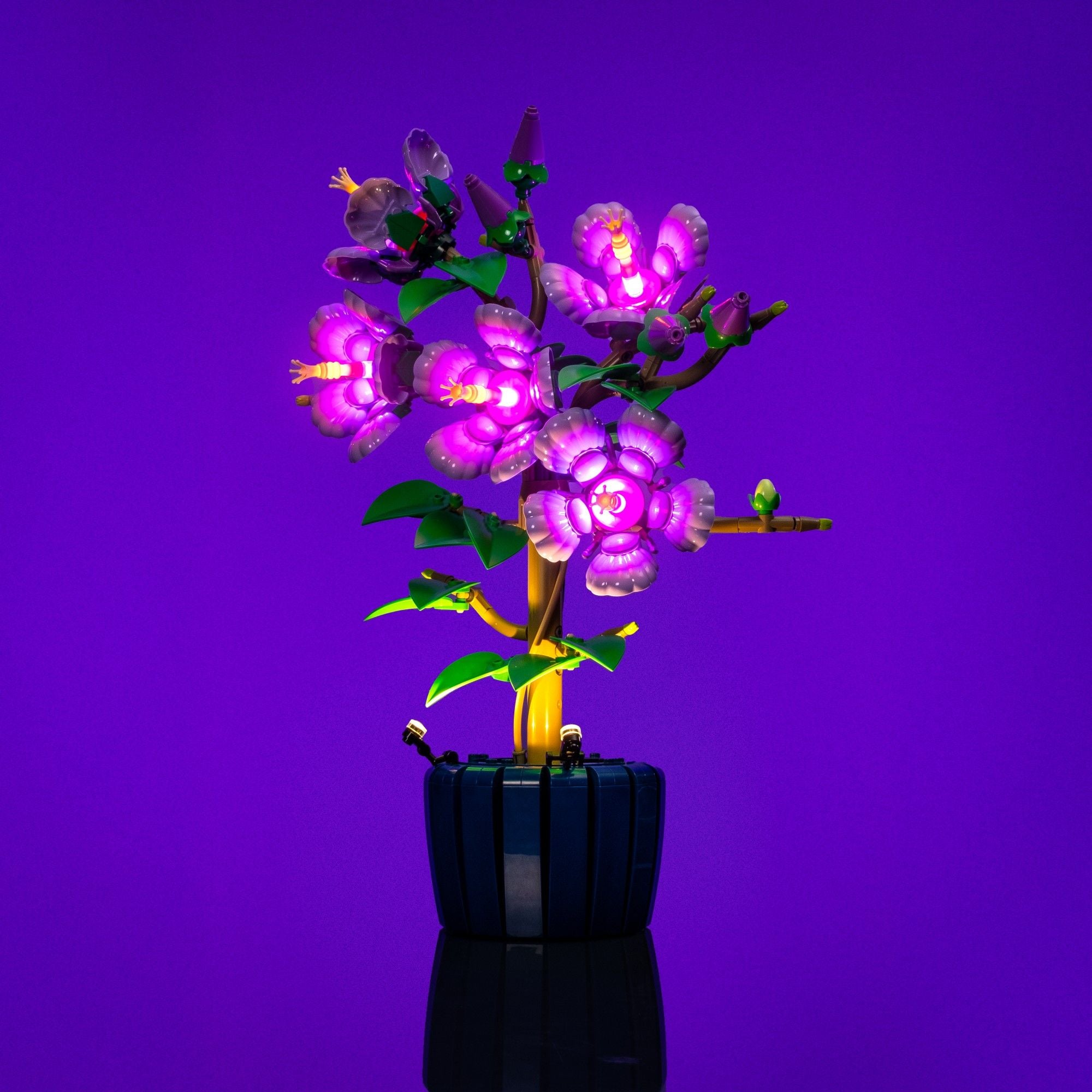 Color Treatment 2本セット Light Kit for LEGO® Botanicals Hibiscus #10372 | Light My Bricks