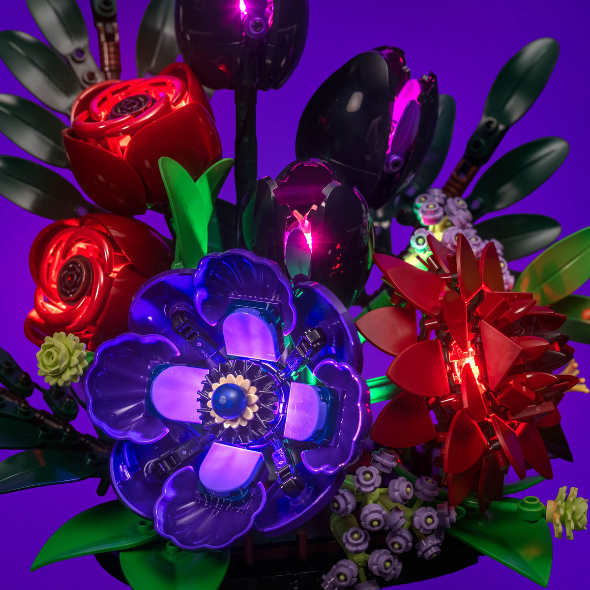 Petunia e anemone illuminati in viola nel LEGO® Botanicals Composizione di fiori scuri