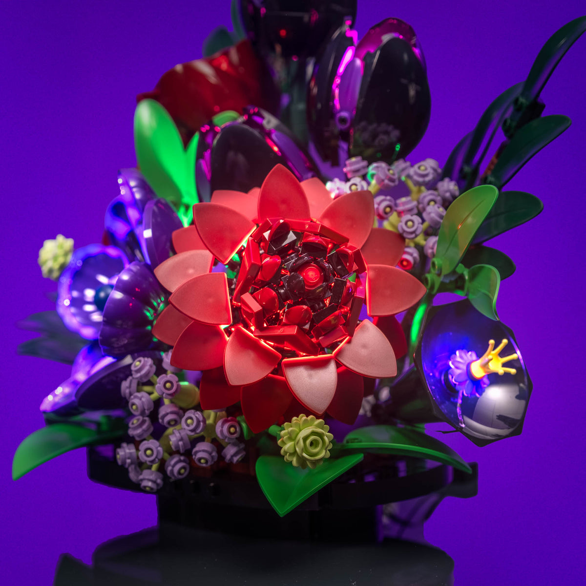 Dalia e rose illuminate di rosso intenso nel LEGO® Botanicals Composizione di fiori scuri