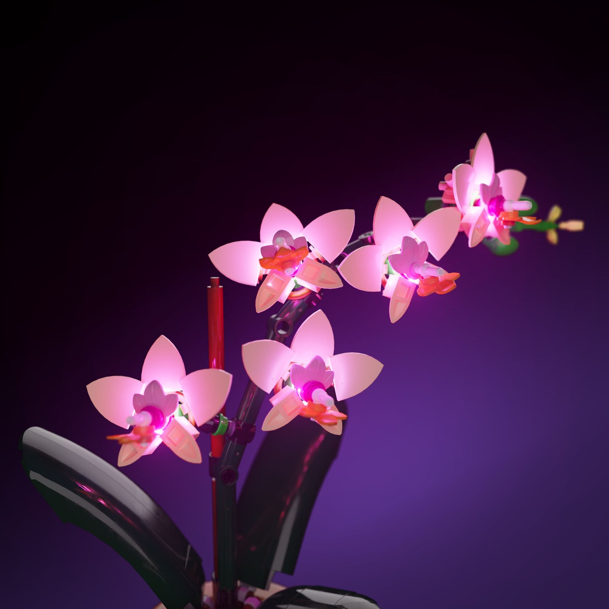 LMB 2.0 Light Kit for LEGO Mini Orchid #10343 – Light My Bricks USA