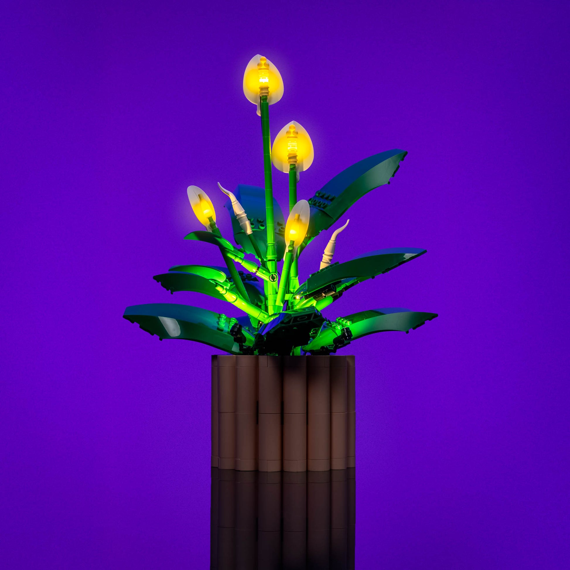 led grow light for peace lily Light Kit for LEGO® Peace Lily #11504