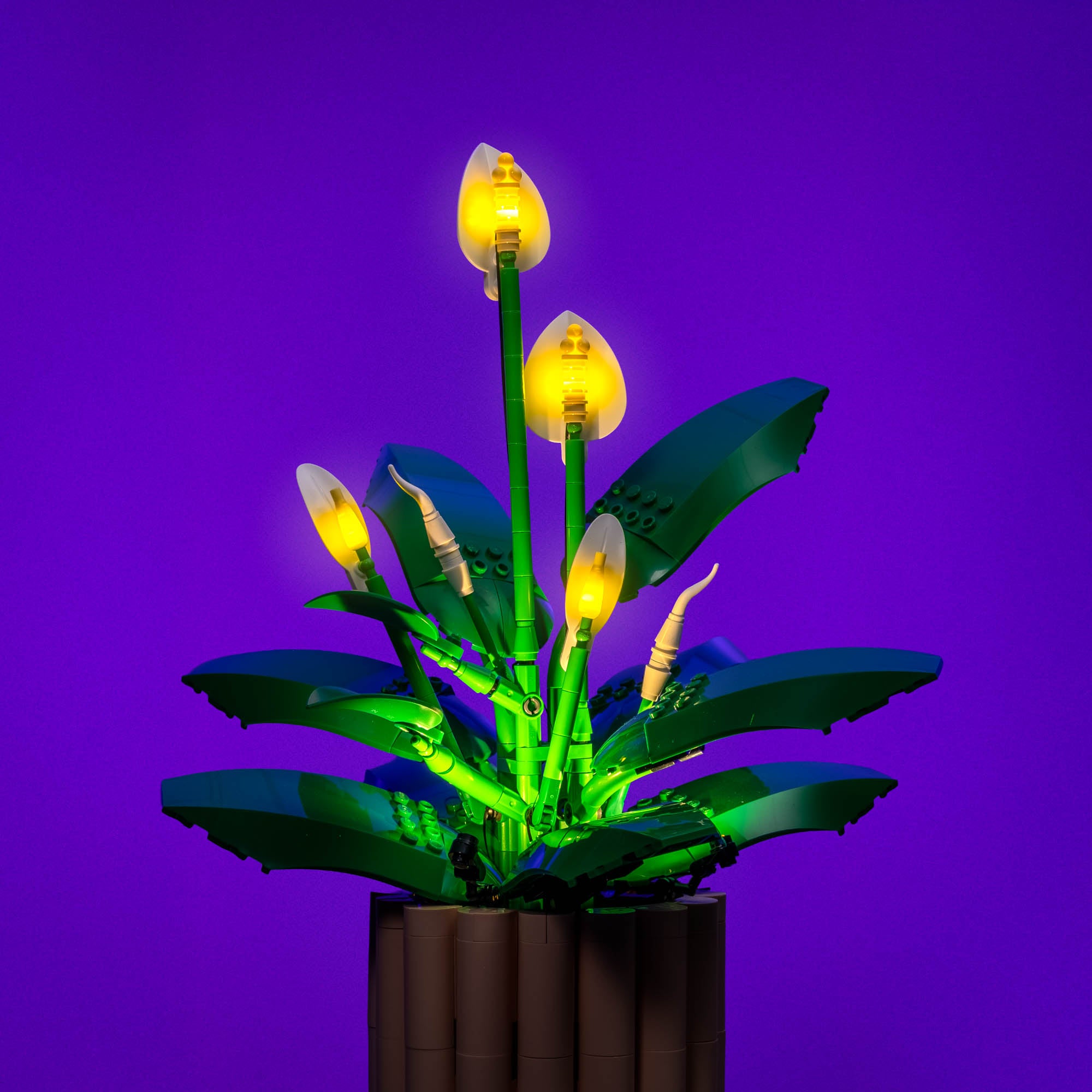 Light Kit for LEGO® Peace Lily #11504 | Light My Bricks – Light My