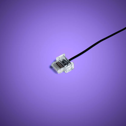 Powered Up Belt - 15cm