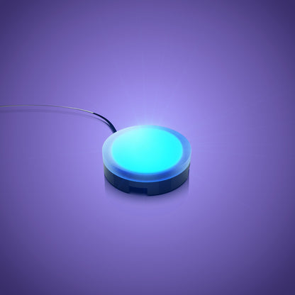 Solar Light - Blue 30cm (2 Pack)