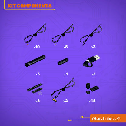 Light Kit for LEGO® The Endurance #10335