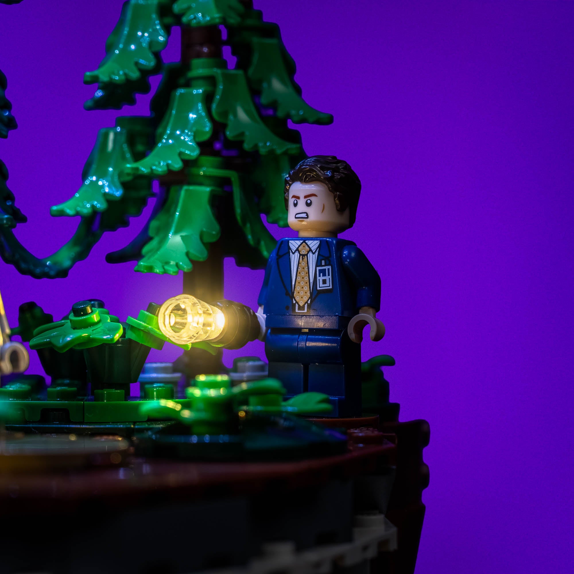 The_X-Files_21369_close_torch.