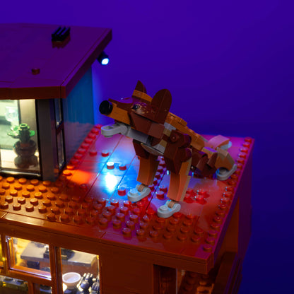 Light Kit for LEGO® Twilight The Cullen House #21354