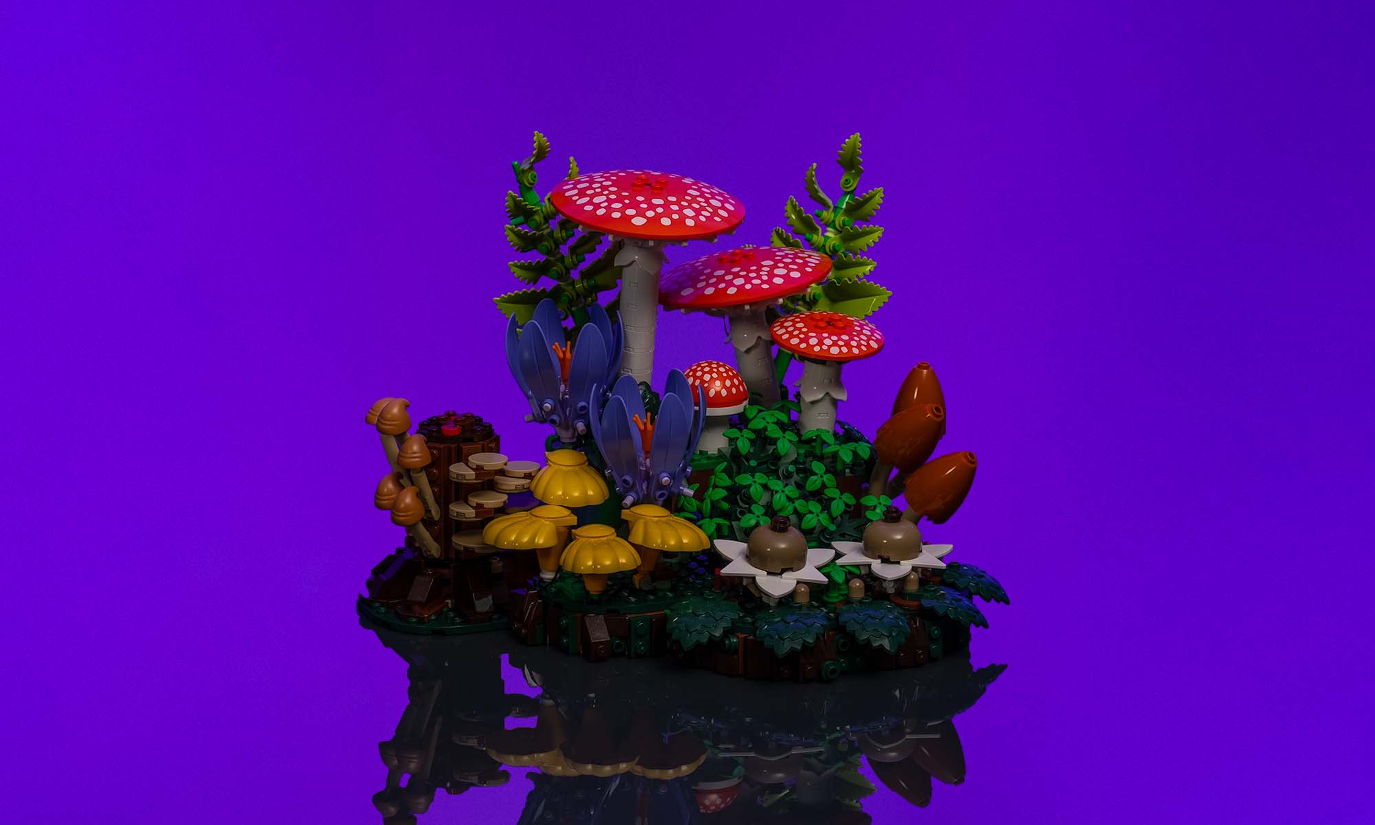 color photo